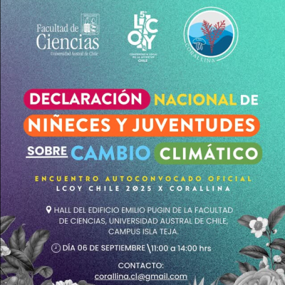 Encuentro Territorial Juvenil de Valdivia: Jóvenes se organizan por la justicia climática