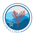 Corallina_Full Color